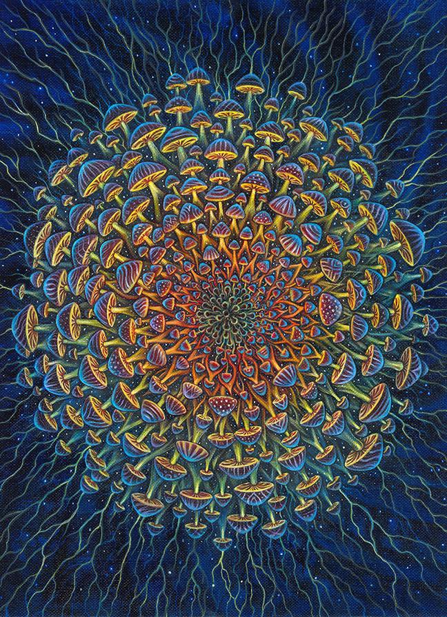 Mushroom Bloom Kimono