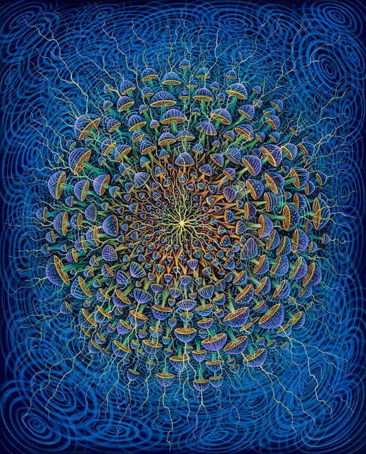 Mycelium Seed