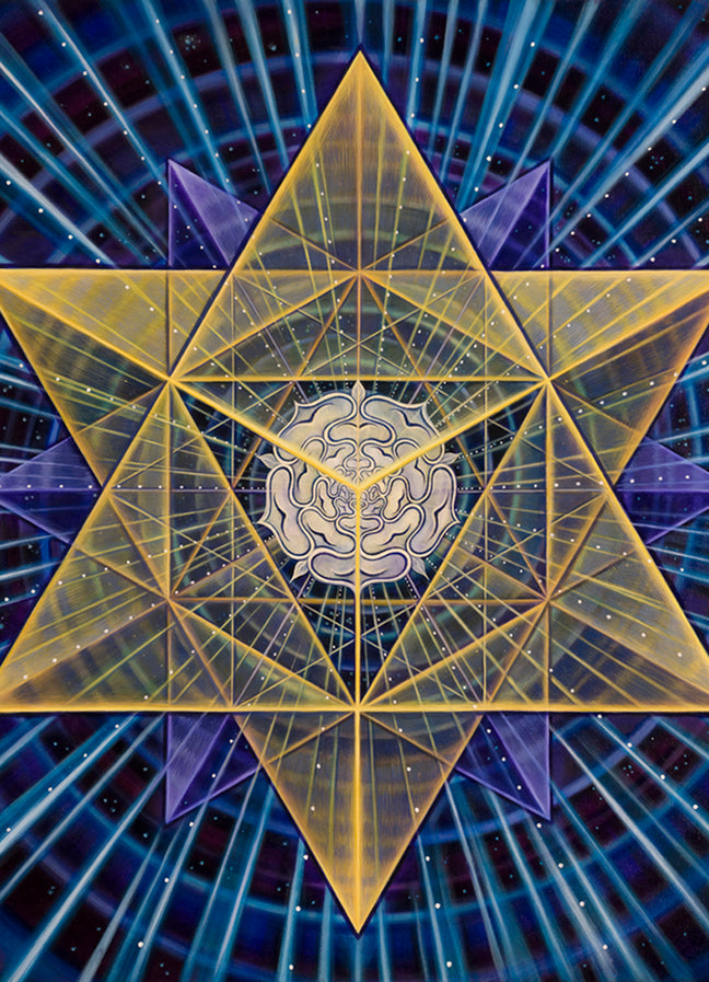 Star Rose