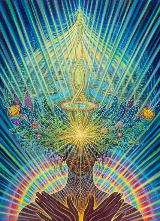 Earth Guardian