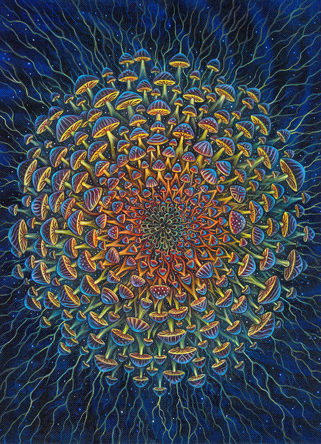 Mushroom Bloom – Amanda Sage Collection