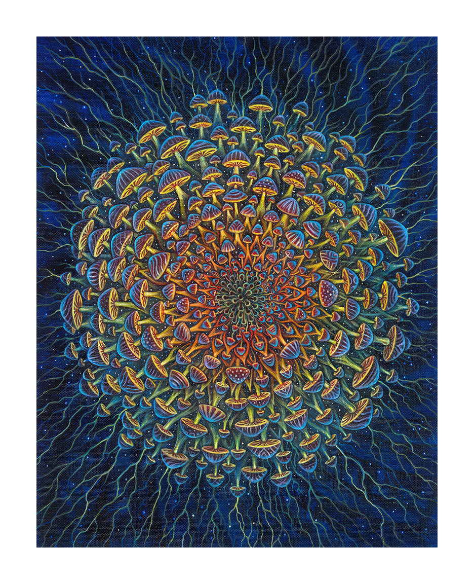 Example of Mushroom Bloom 2020 Print
