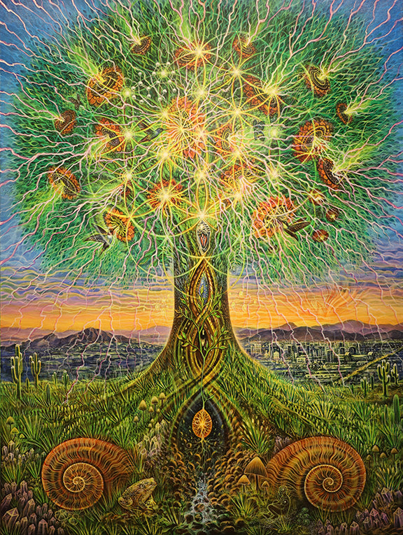 Psychedelic Bloom